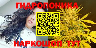 mdma Аргун