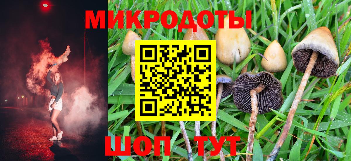 Галлюциногенные грибы GOLDEN TEACHER  Вход с VPN  купить   Ачхой-Мартан 