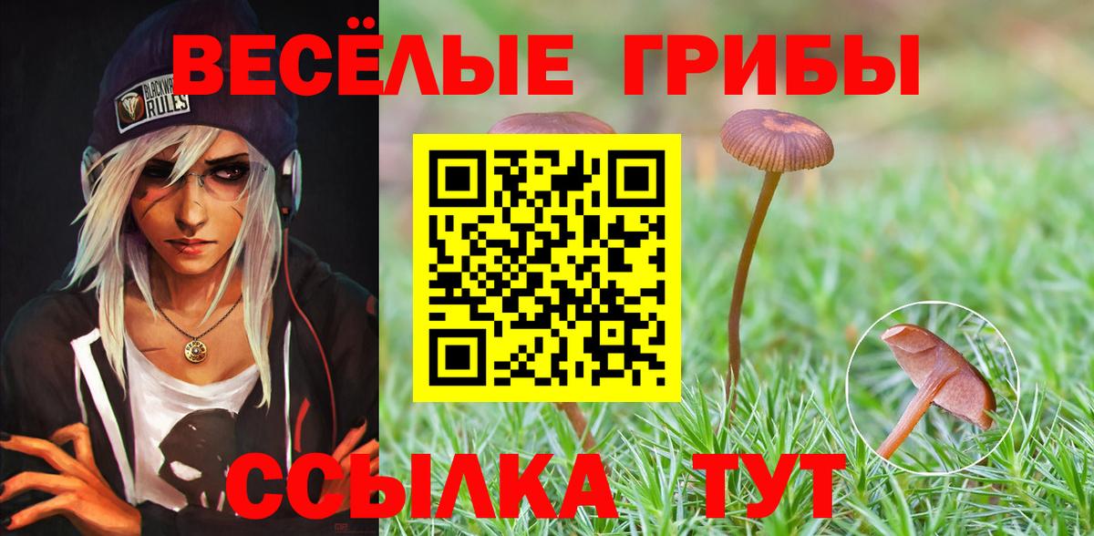 Канабис  Ачхой-Мартан  ЭКСТАЗИ  Гашиш  Меф МЯУ МЯУ кристаллы  Вход с VPN 